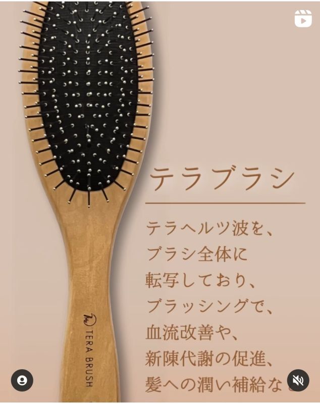 ヘアブラシ テラブラシ TERA BRUSH テラヘルツ波 転写 頭皮と髪の悩み ...